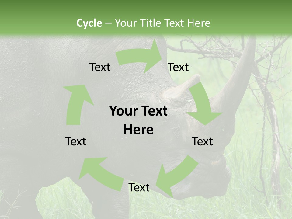 A Rhino Is Standing In The Grass Near A Tree PowerPoint Template