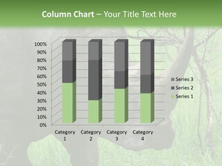 A Rhino Is Standing In The Grass Near A Tree PowerPoint Template