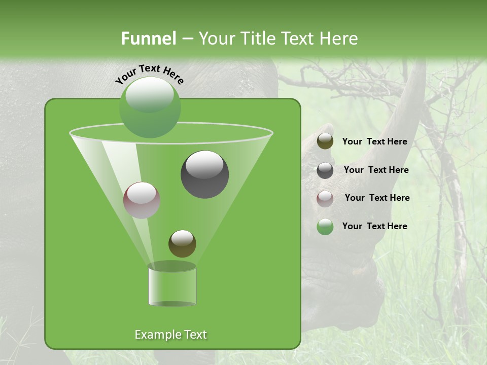 A Rhino Is Standing In The Grass Near A Tree PowerPoint Template