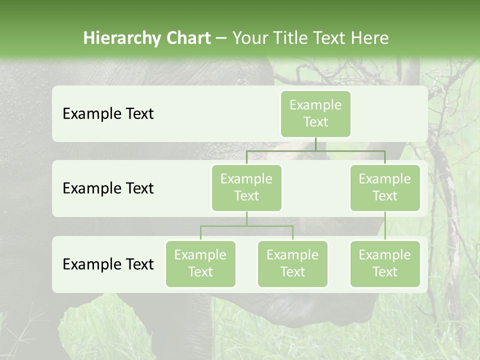 A Rhino Is Standing In The Grass Near A Tree PowerPoint Template