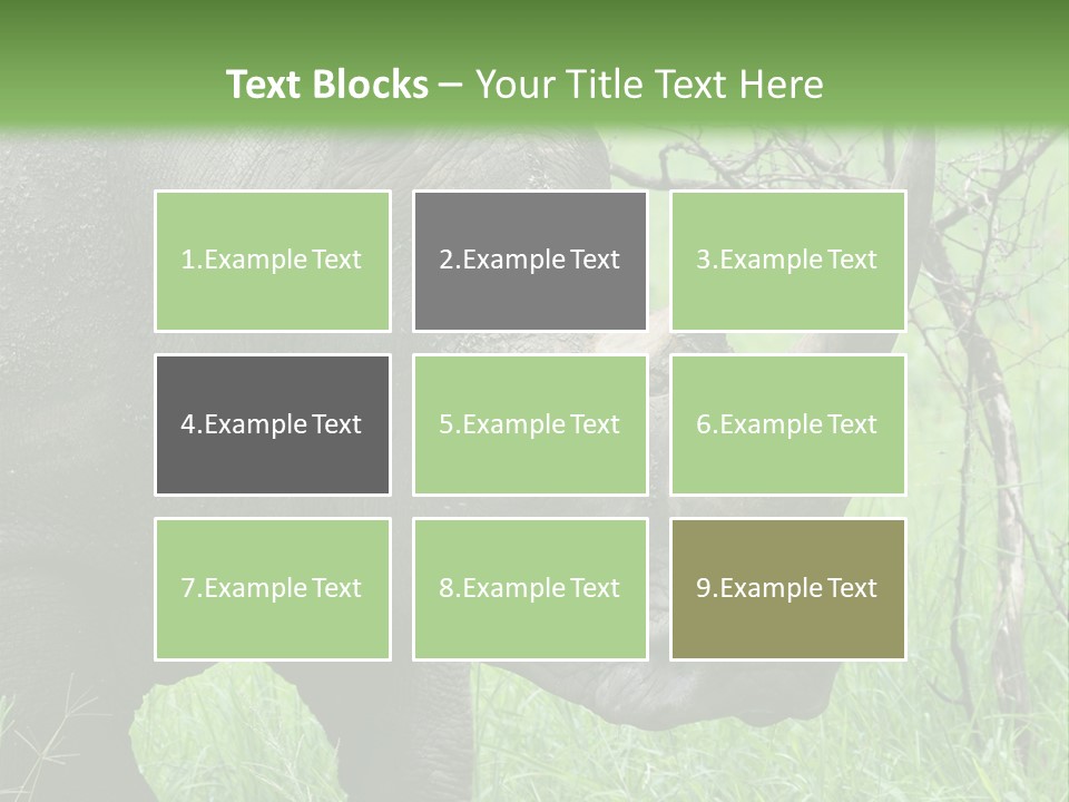 A Rhino Is Standing In The Grass Near A Tree PowerPoint Template
