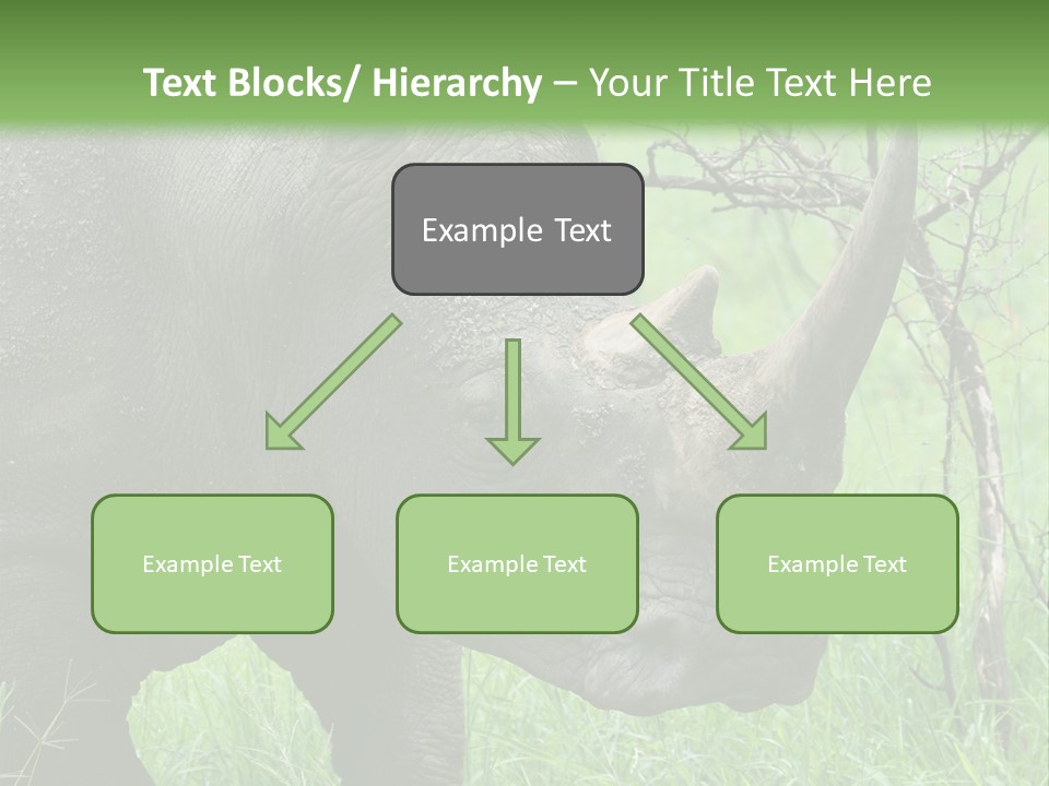 A Rhino Is Standing In The Grass Near A Tree PowerPoint Template