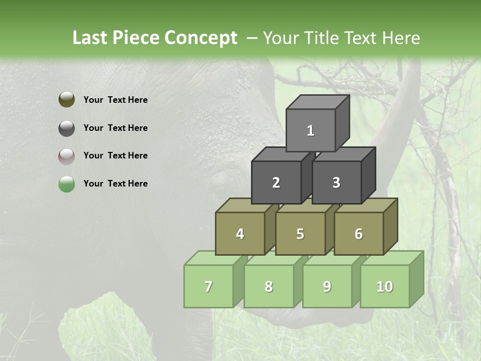 A Rhino Is Standing In The Grass Near A Tree PowerPoint Template