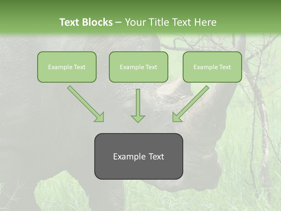 A Rhino Is Standing In The Grass Near A Tree PowerPoint Template