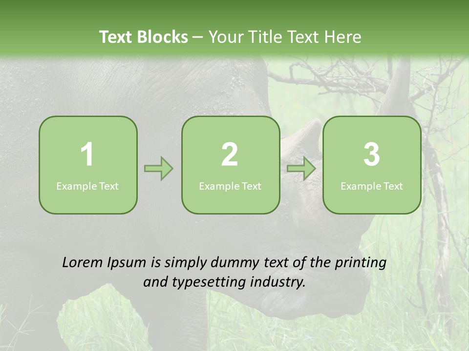 A Rhino Is Standing In The Grass Near A Tree PowerPoint Template