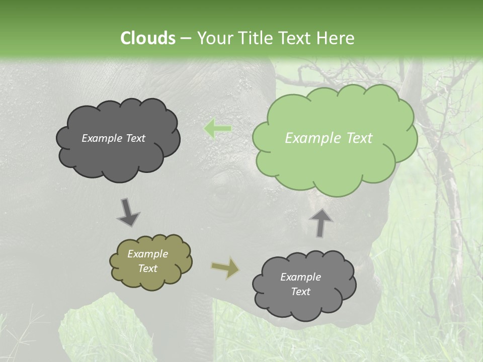 A Rhino Is Standing In The Grass Near A Tree PowerPoint Template