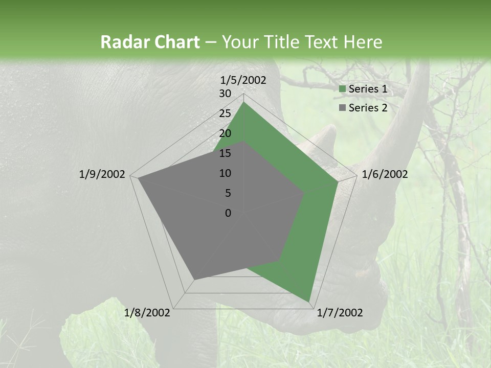 A Rhino Is Standing In The Grass Near A Tree PowerPoint Template