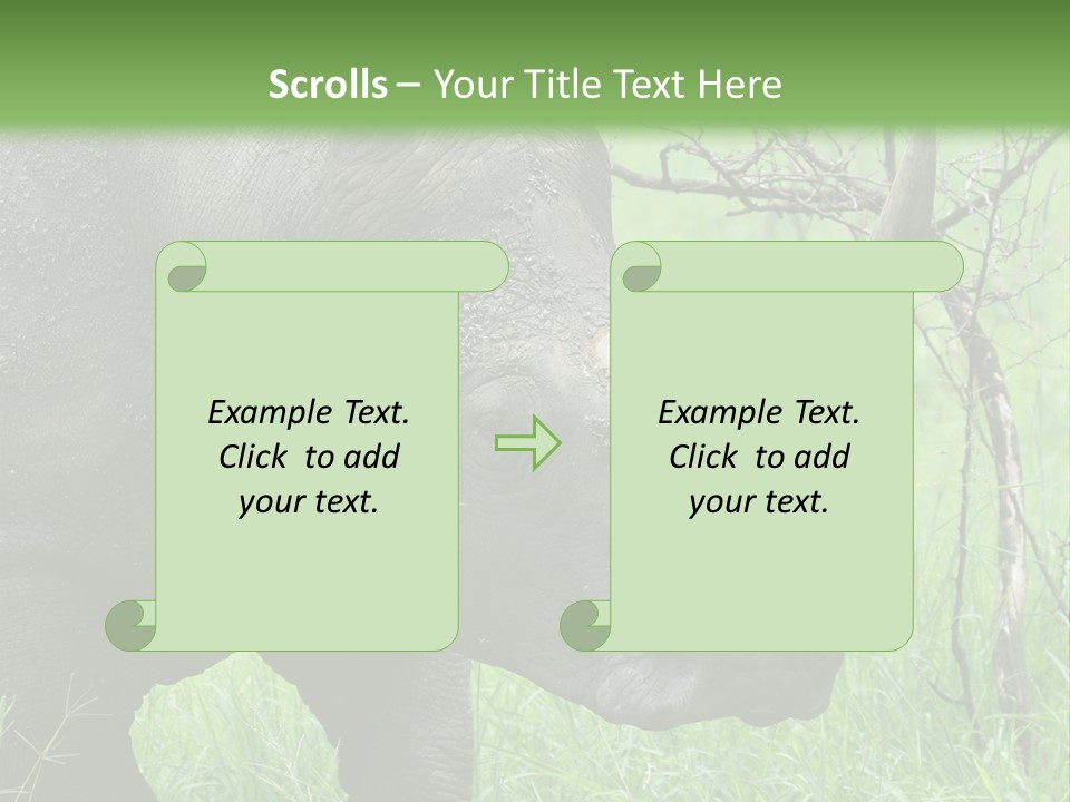 A Rhino Is Standing In The Grass Near A Tree PowerPoint Template