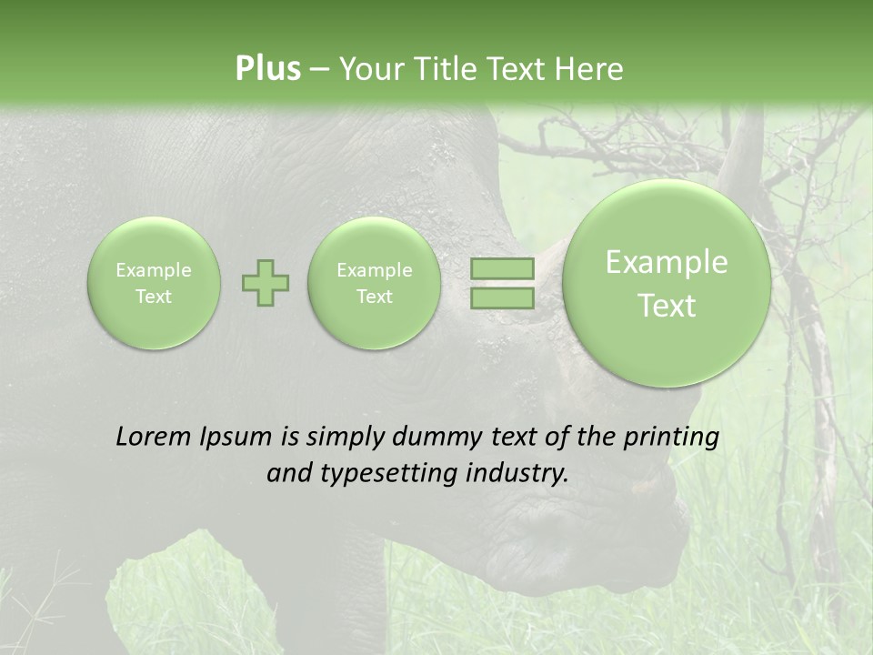A Rhino Is Standing In The Grass Near A Tree PowerPoint Template
