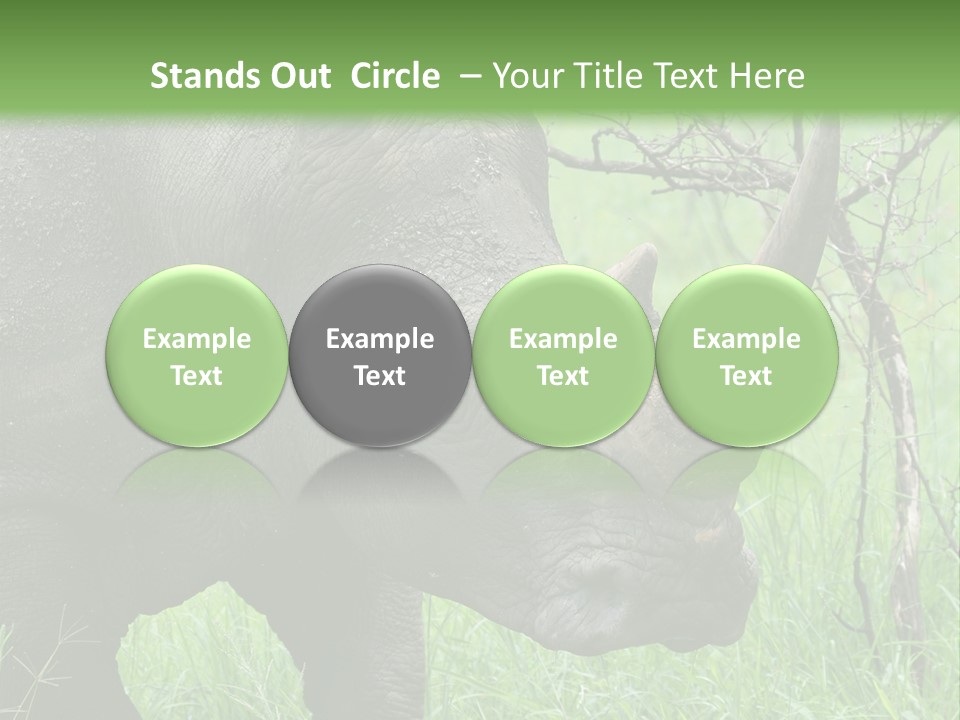 A Rhino Is Standing In The Grass Near A Tree PowerPoint Template