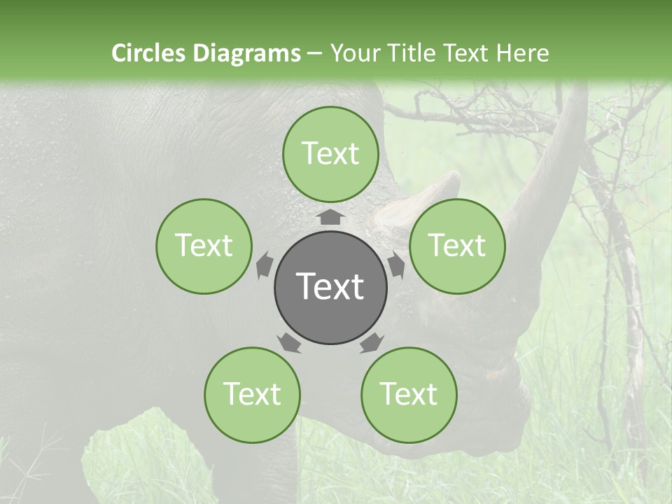 A Rhino Is Standing In The Grass Near A Tree PowerPoint Template