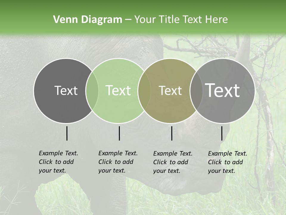 A Rhino Is Standing In The Grass Near A Tree PowerPoint Template