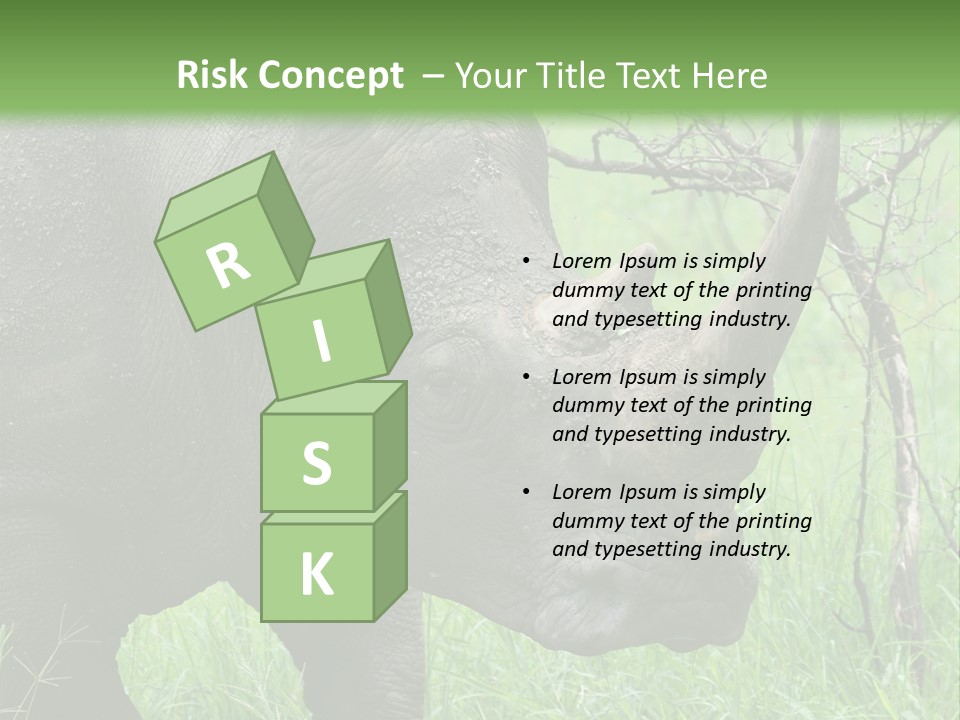 A Rhino Is Standing In The Grass Near A Tree PowerPoint Template