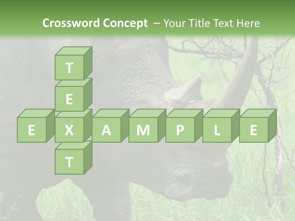 A Rhino Is Standing In The Grass Near A Tree PowerPoint Template