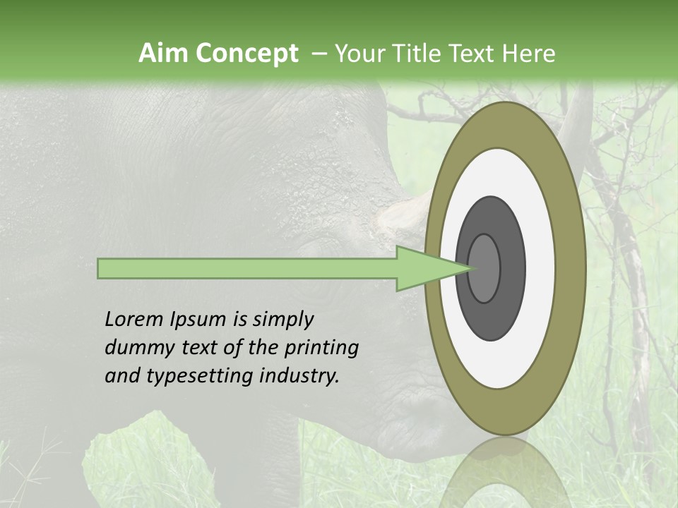 A Rhino Is Standing In The Grass Near A Tree PowerPoint Template