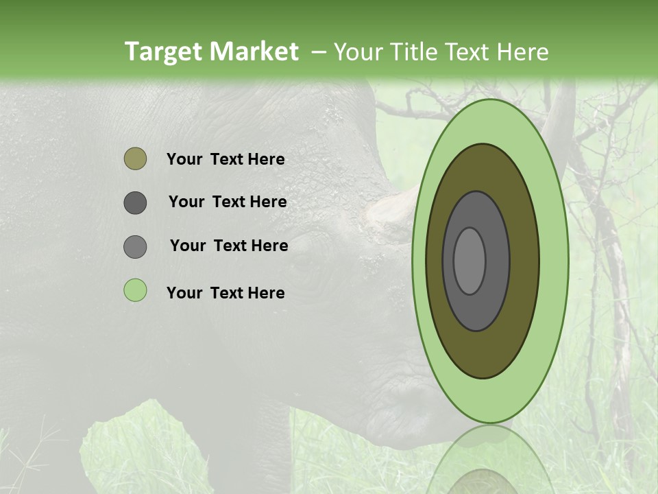 A Rhino Is Standing In The Grass Near A Tree PowerPoint Template