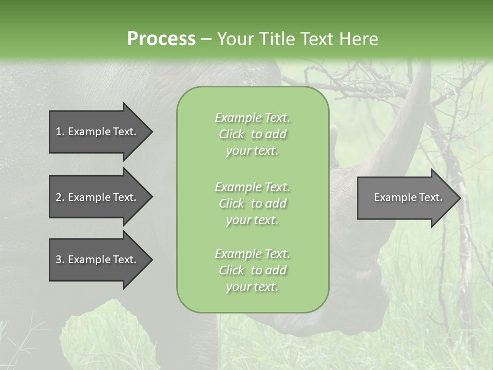 A Rhino Is Standing In The Grass Near A Tree PowerPoint Template