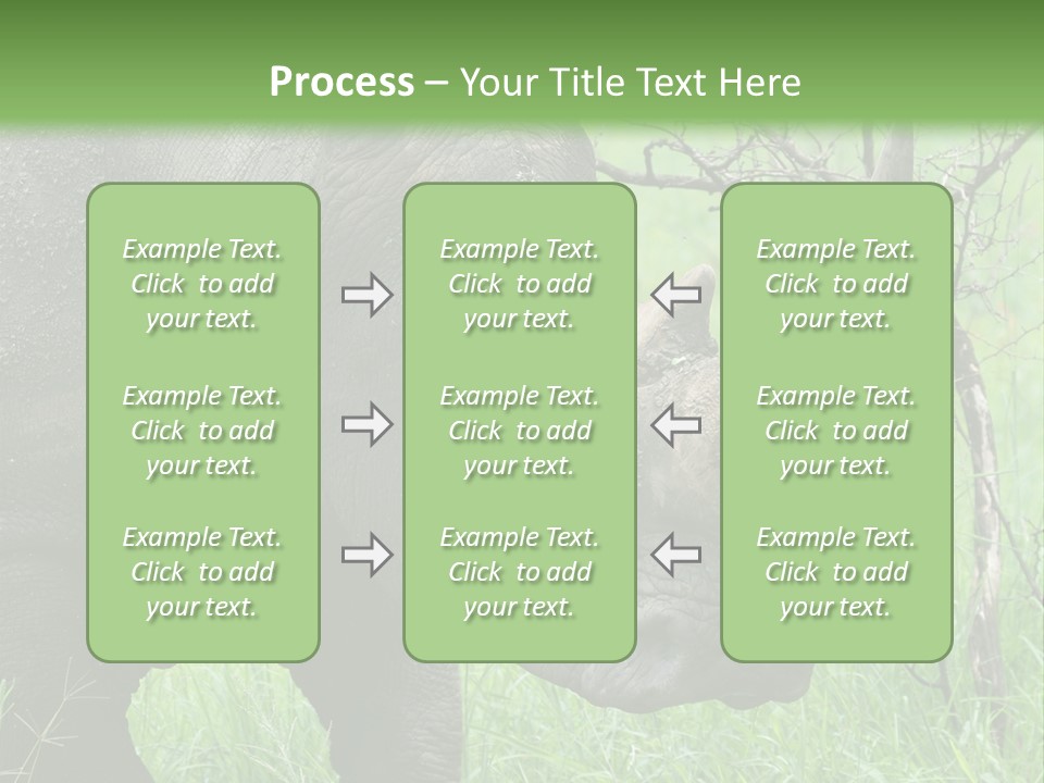 A Rhino Is Standing In The Grass Near A Tree PowerPoint Template