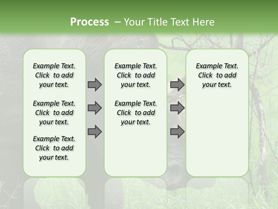 A Rhino Is Standing In The Grass Near A Tree PowerPoint Template