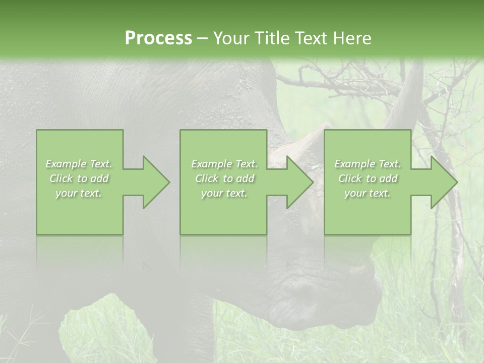 A Rhino Is Standing In The Grass Near A Tree PowerPoint Template