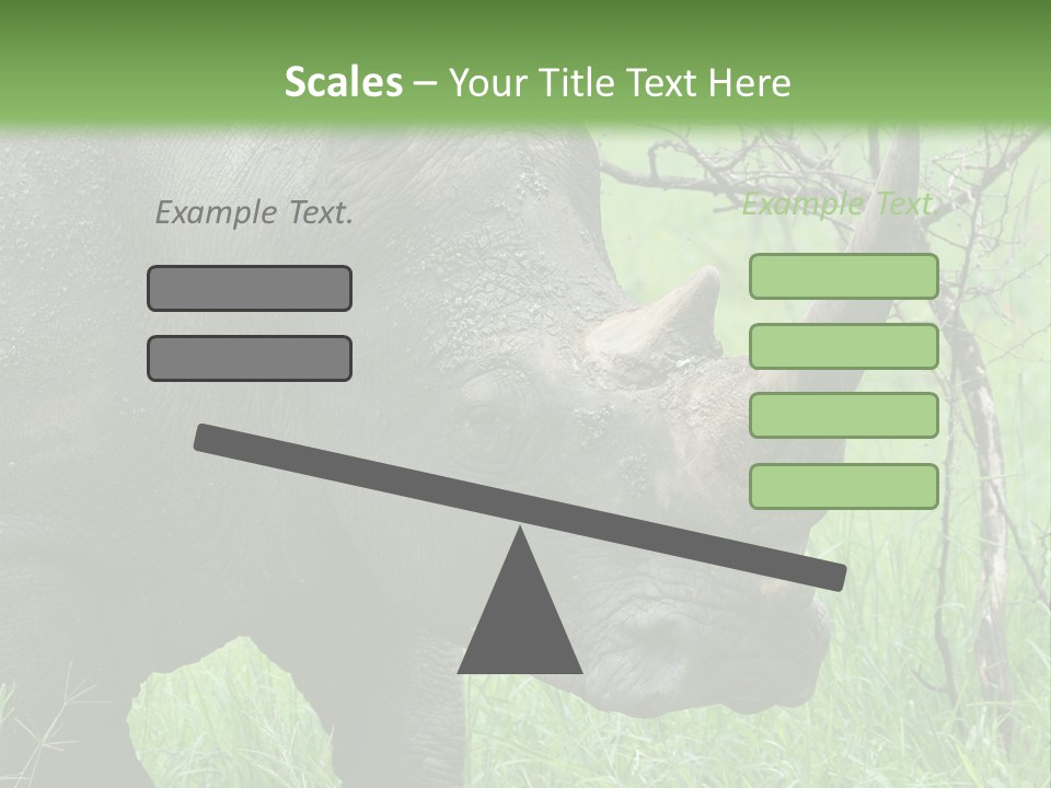 A Rhino Is Standing In The Grass Near A Tree PowerPoint Template