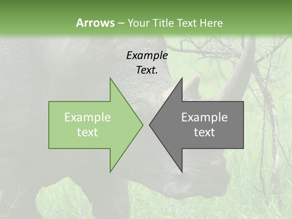 A Rhino Is Standing In The Grass Near A Tree PowerPoint Template