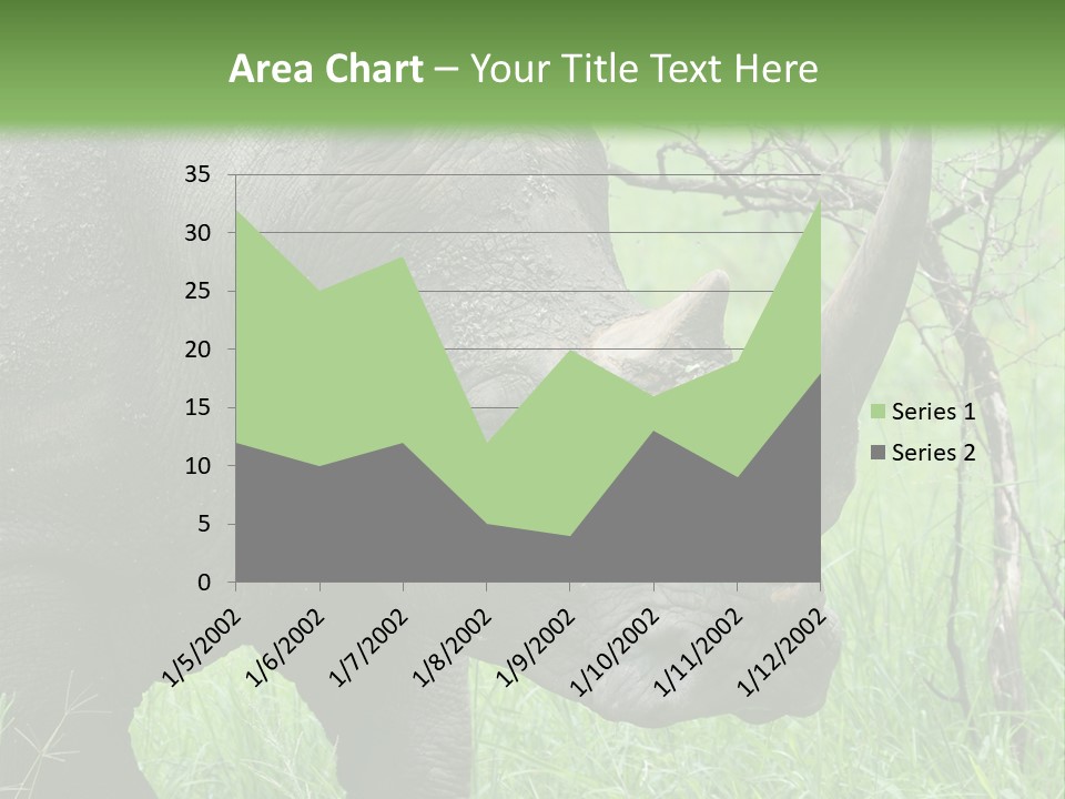 A Rhino Is Standing In The Grass Near A Tree PowerPoint Template