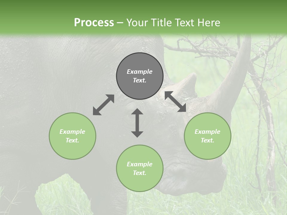 A Rhino Is Standing In The Grass Near A Tree PowerPoint Template