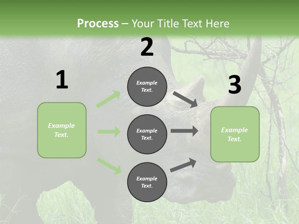 A Rhino Is Standing In The Grass Near A Tree PowerPoint Template