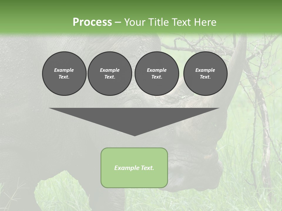 A Rhino Is Standing In The Grass Near A Tree PowerPoint Template
