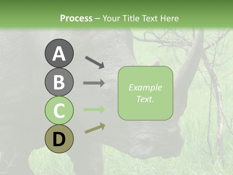 A Rhino Is Standing In The Grass Near A Tree PowerPoint Template