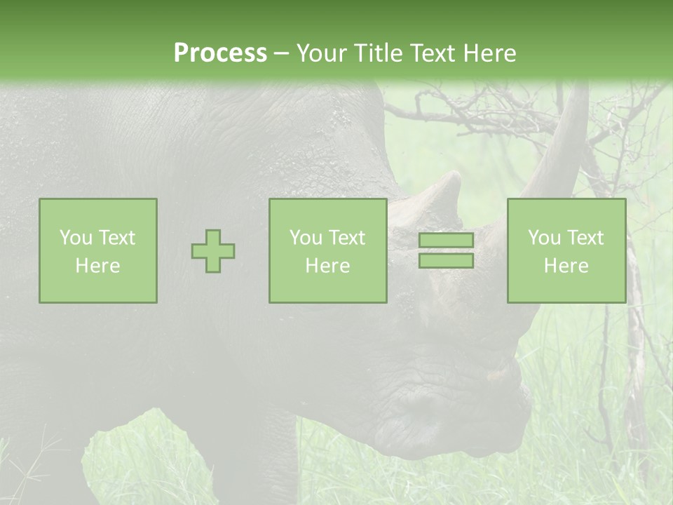 A Rhino Is Standing In The Grass Near A Tree PowerPoint Template