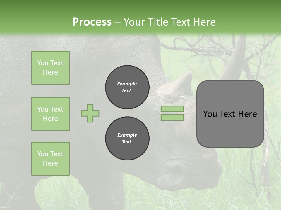 A Rhino Is Standing In The Grass Near A Tree PowerPoint Template