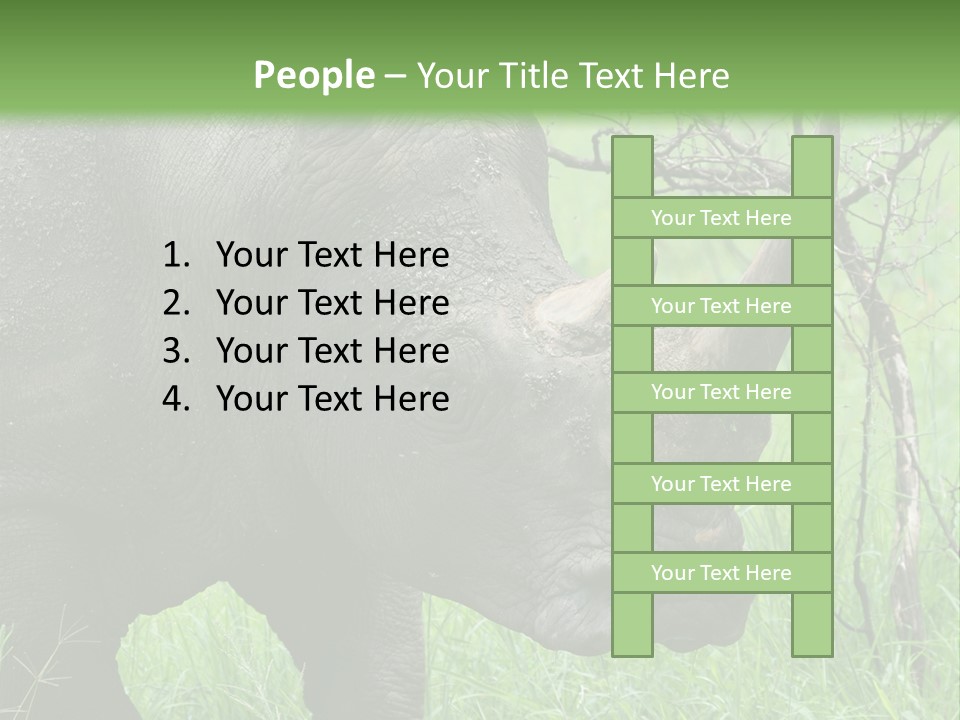 A Rhino Is Standing In The Grass Near A Tree PowerPoint Template