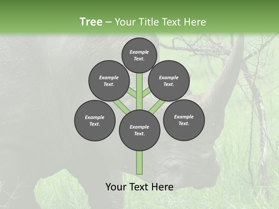 A Rhino Is Standing In The Grass Near A Tree PowerPoint Template