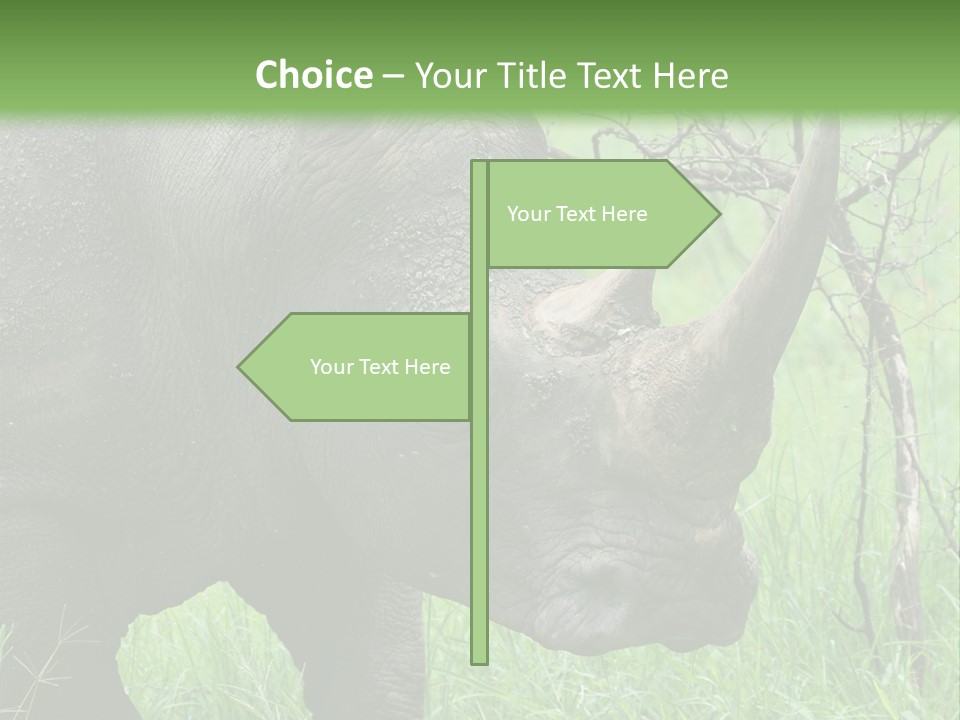 A Rhino Is Standing In The Grass Near A Tree PowerPoint Template