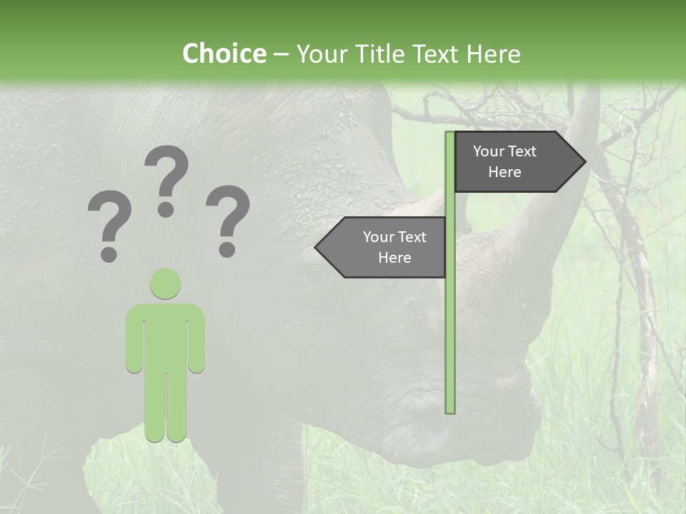 A Rhino Is Standing In The Grass Near A Tree PowerPoint Template