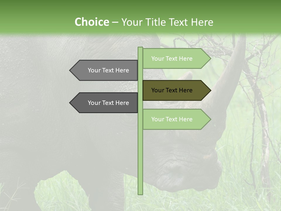 A Rhino Is Standing In The Grass Near A Tree PowerPoint Template