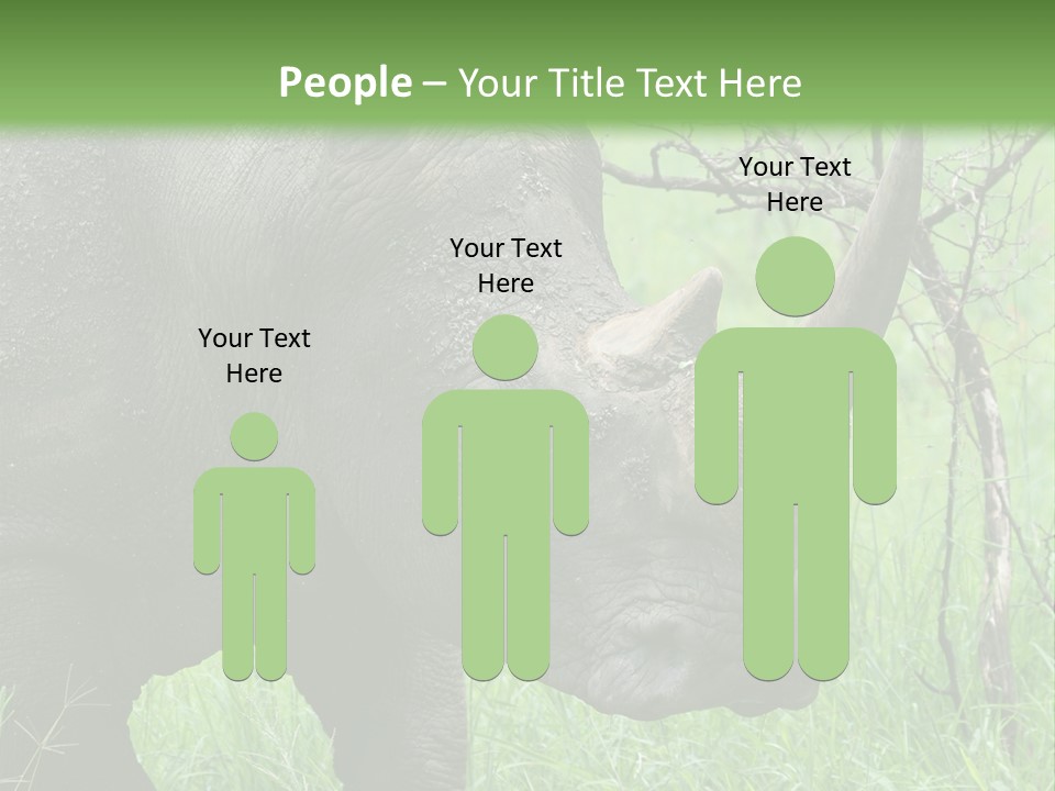 A Rhino Is Standing In The Grass Near A Tree PowerPoint Template