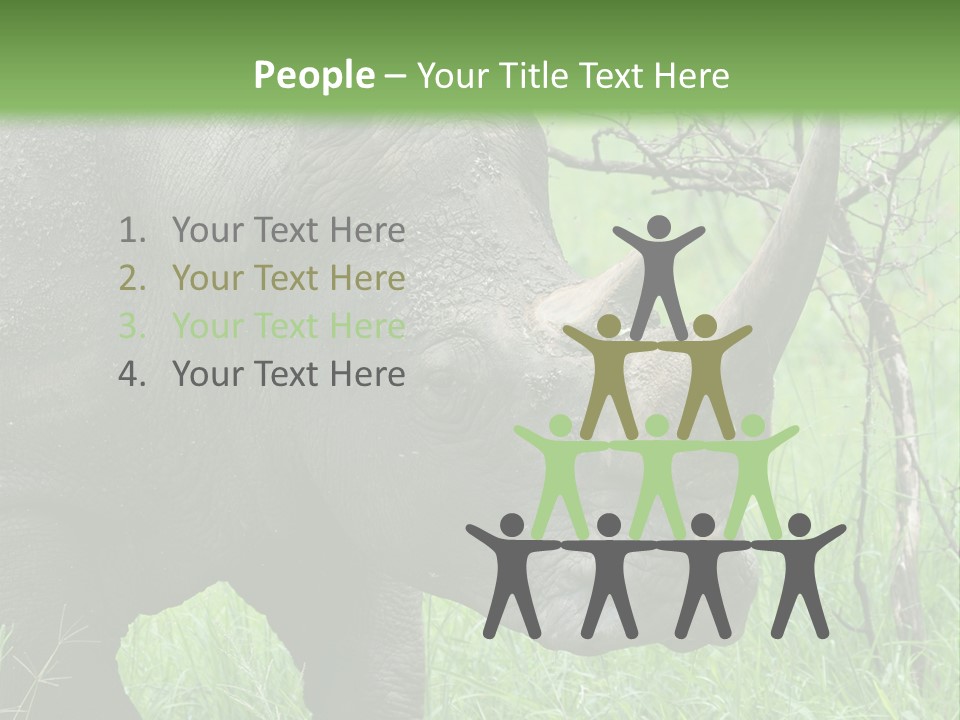 A Rhino Is Standing In The Grass Near A Tree PowerPoint Template