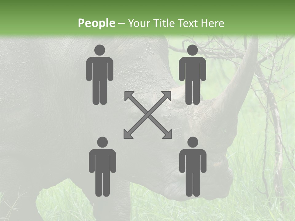 A Rhino Is Standing In The Grass Near A Tree PowerPoint Template