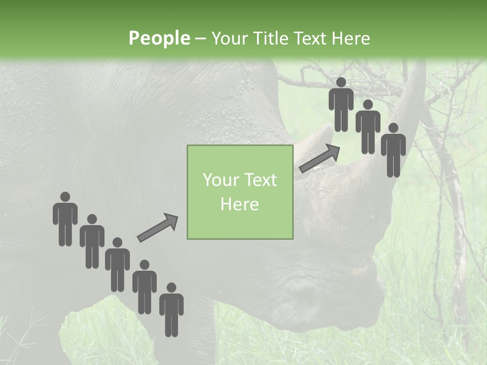 A Rhino Is Standing In The Grass Near A Tree PowerPoint Template