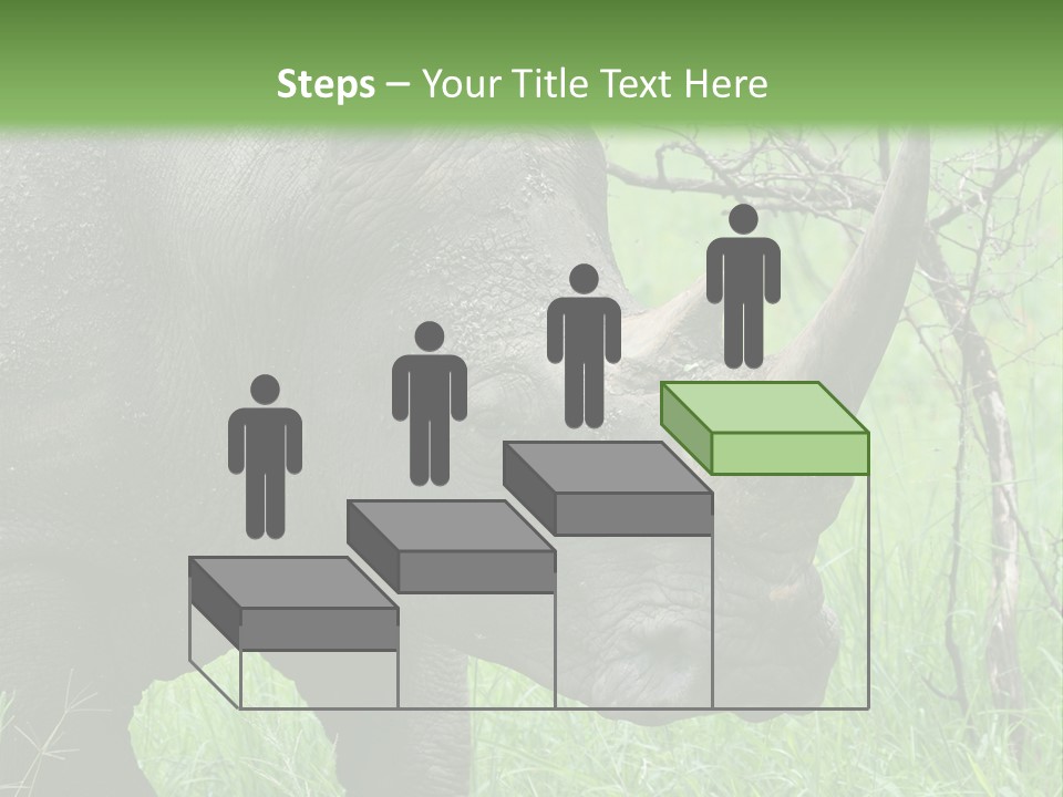 A Rhino Is Standing In The Grass Near A Tree PowerPoint Template