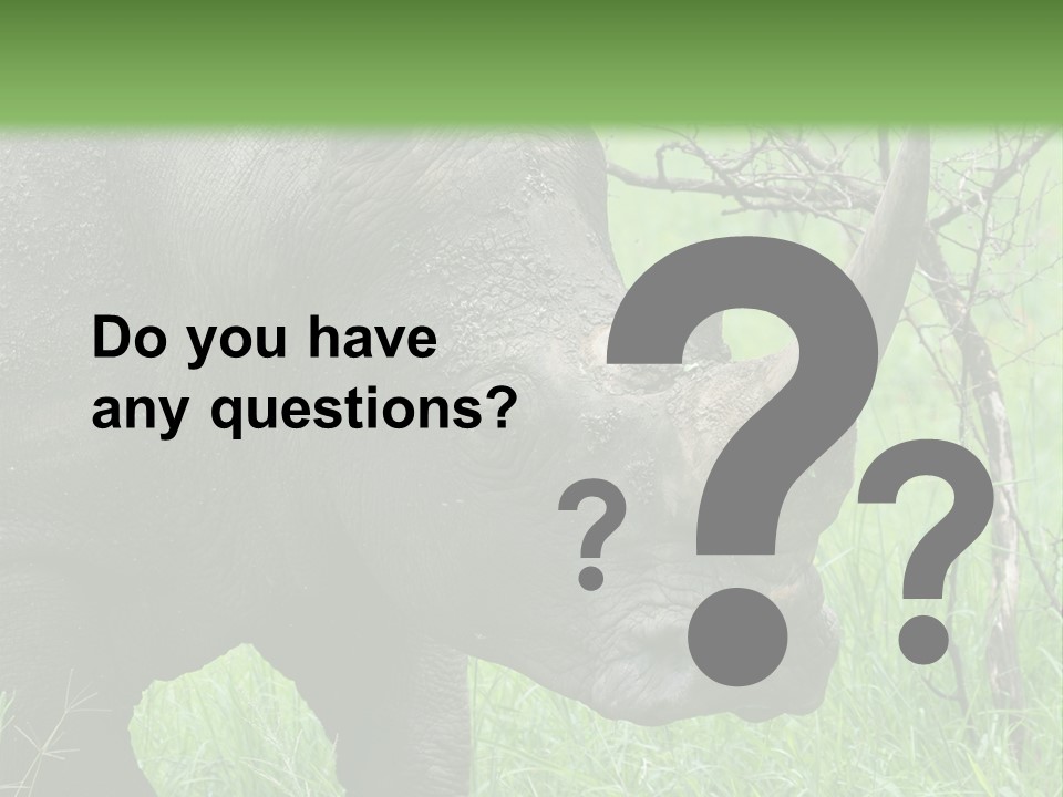 A Rhino Is Standing In The Grass Near A Tree PowerPoint Template