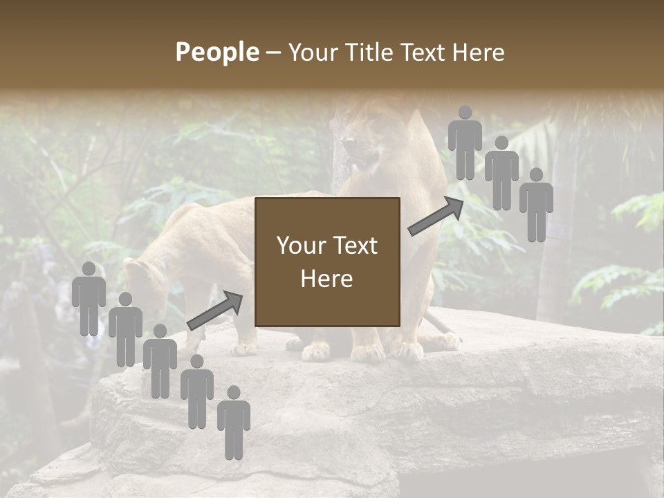 Lifestyle Pretty Health PowerPoint Template