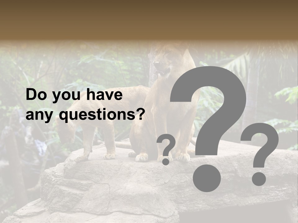 Lifestyle Pretty Health PowerPoint Template