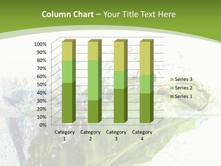 Cabinets Chair Spacious PowerPoint Template