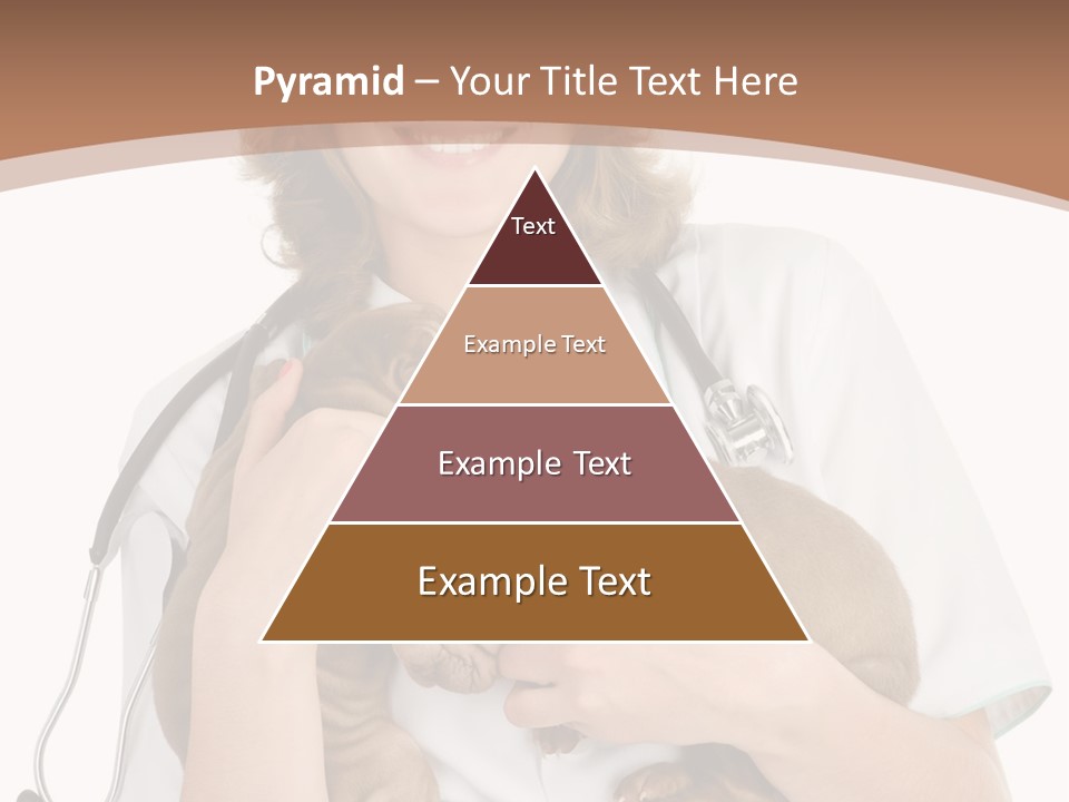 Doc Woman Newborn PowerPoint Template