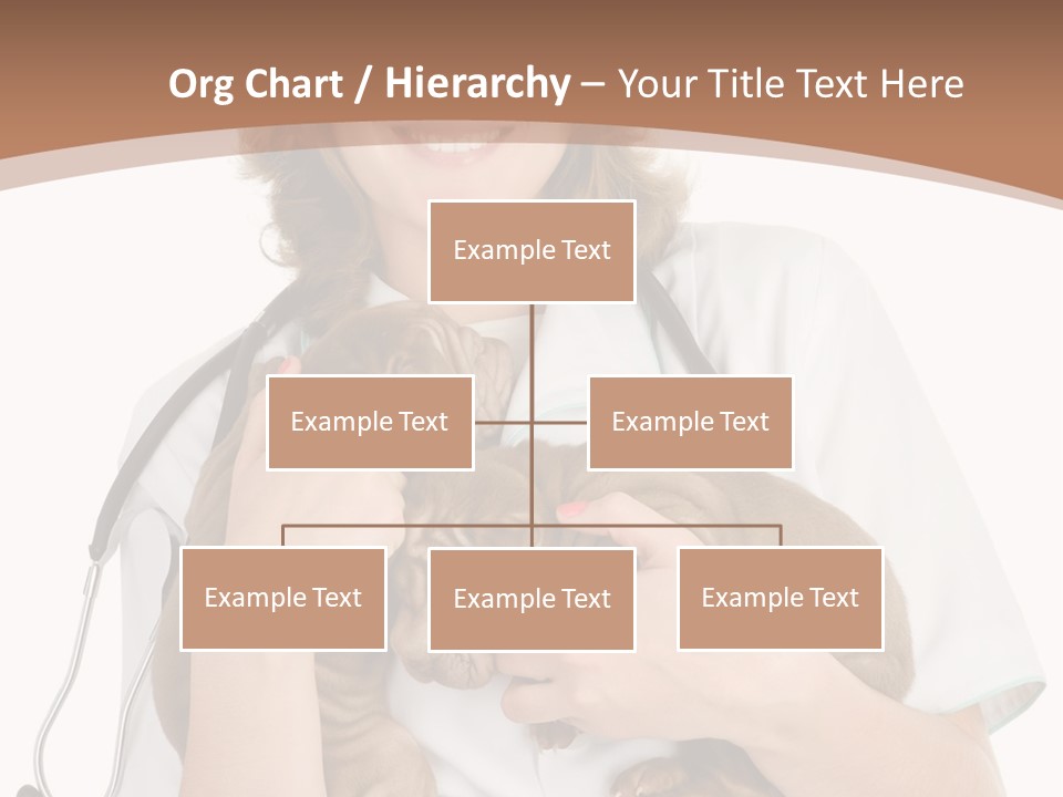 Doc Woman Newborn PowerPoint Template
