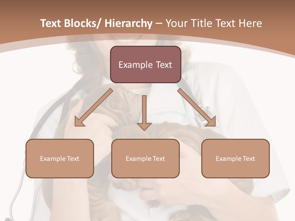 Doc Woman Newborn PowerPoint Template
